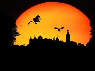 Gute-Nacht-Geschichten